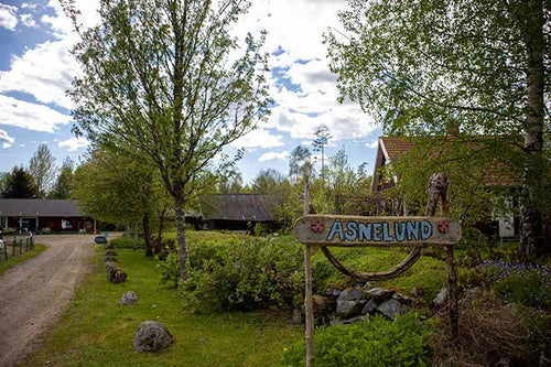 Die Einfahrt zum Hof, auf dem Eva Spångbergs Holzkunst bewahrt wird